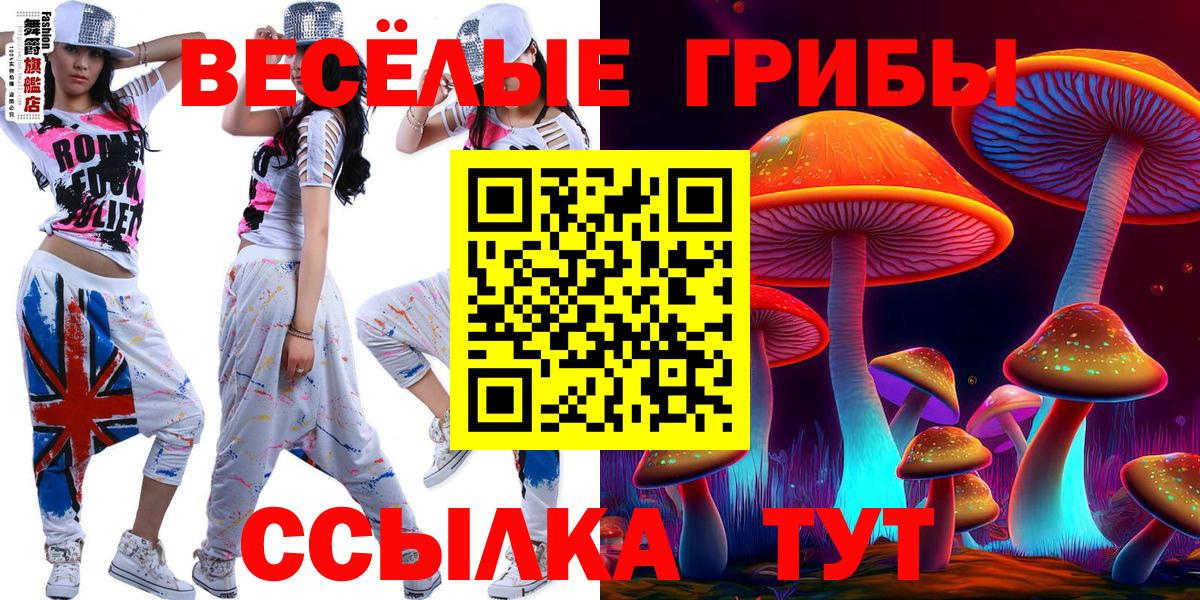 Псилоцибиновые грибы Psilocybine cubensis  Вход с VPN  Псилоцибиновые грибы мицелий  Ржев 