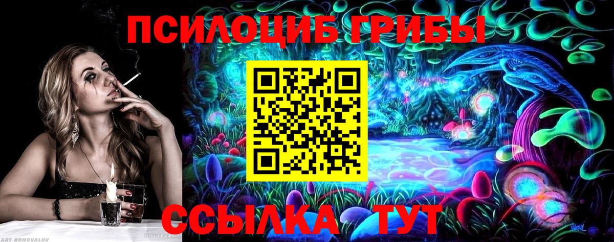 Псилоцибиновые грибы Psilocybe Ржев